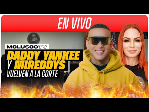 Daddy Yankee Vs Mireddys vuelven al tribunal: EN VIVO