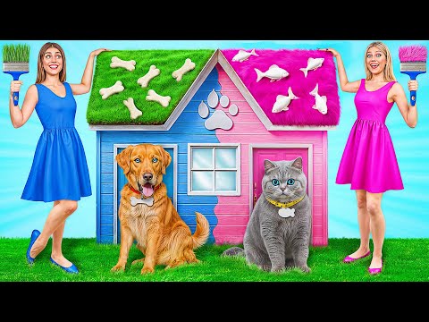 We Built a House For Pets | Funny Challenges by Multi DO Smile