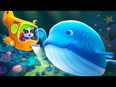 Saving a Whale | Magical Chinese Characters | Kids Cartoon | BabyBus TV