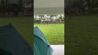 Its been raining non stop for 2 weeks in florida #vanlifeflorida#tentlife#shorts