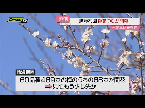 一足早く春を感じて　熱海市で恒例「熱海梅園梅まつり」開幕