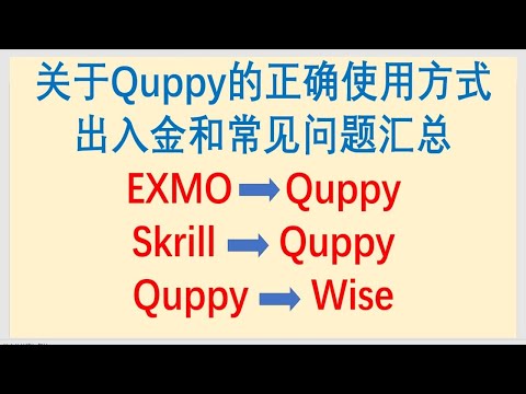 入门级境外虚拟银行账户Quppy的正确使用方式、出入金转账汇款和常见问题汇总