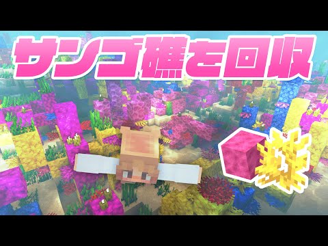 まだ夏を諦めない！！サンゴ礁の海で癒されながら素材回収！🌴⛵【マイクラ / マインクラフト / minecraft】128