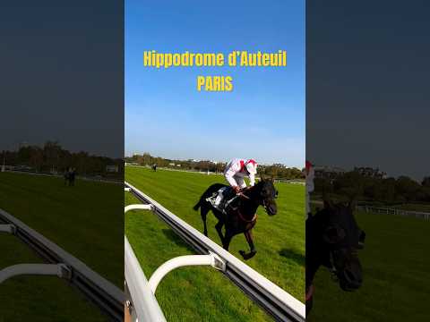 Horse Race in Paris @hippodromed’auteuil #paris2023