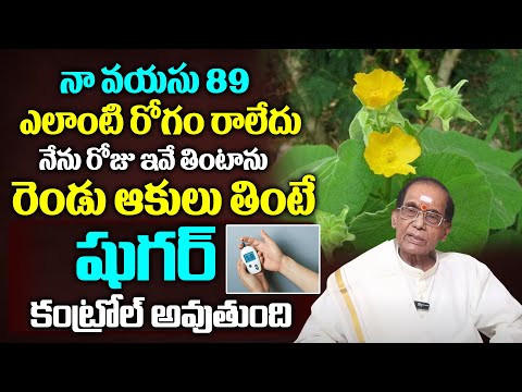 రెండు ఆకులు తింటే షుగర్ కంట్రోల్ అవుతుంది | DIABETIES CONTROL TIPS | DR B.A.Venkata Swamy | Manamtv