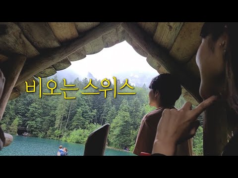 🇨🇭vlog_스위스 여행 가기 I 치코 민박, 스위스 여행, 유럽여행 l