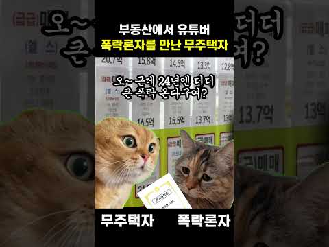 부동산에서 폭락론 유튜버를 만난 무주택자 #고양이밈