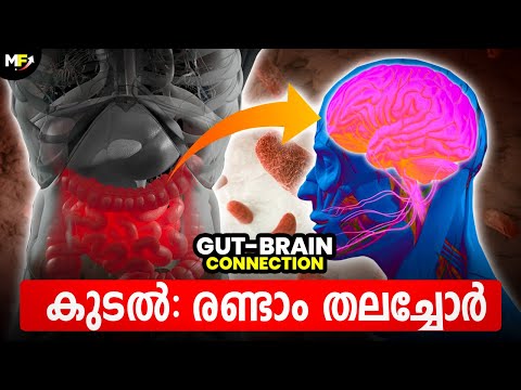 കുടലും തലച്ചോറും🦠🧠 Gut-Brain Connection: How Your Diet Influences Your Mental Health