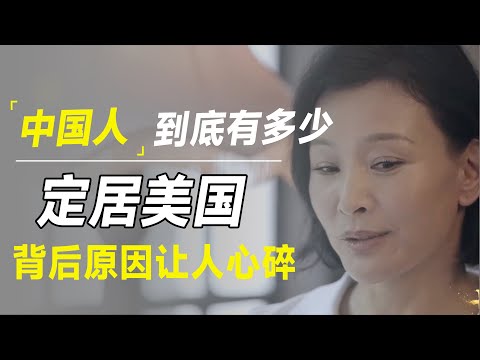 有多少人中国人定居美国？陈冲详细梳理原因后，看了让国人寒心