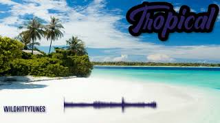 Tropical Summer House - [The Best Of Tropical Summer House Music 2022]