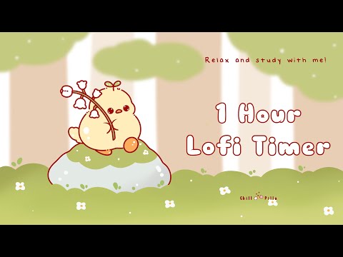 1 Hour - Relax & study with me Lofi | Duck on a rock #timer #1hour #1hourloop #lofi #relaxing