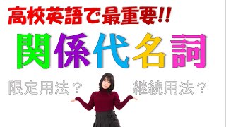 【関係代名詞】限定用法、継続用法の違いは二次で超重要です。【主格、目的格、所有格】【高校英語】【文法】