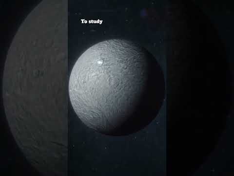 What is the largest asteroid in the solar system? #shorts