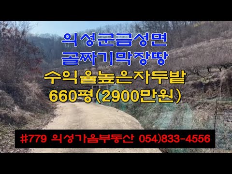 #779 의성가음부동산 가격大인하!! 2900만 (당4.4만) 660평 급매 계곡안 막장땅 자두밭 창고(쉼터) 조용하고 청정지역 자연인 주말농장용 #의성땅#의성과수원#귀농귀촌#싼땅