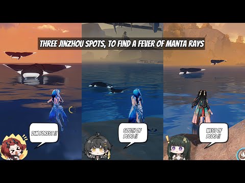 Manta Rays in wuwa, and where to find them - Part 2 | Wuthering Waves