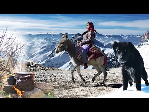 Village Lifestyle Iran: Amazing Cooking & Donkey Riding By A Girl