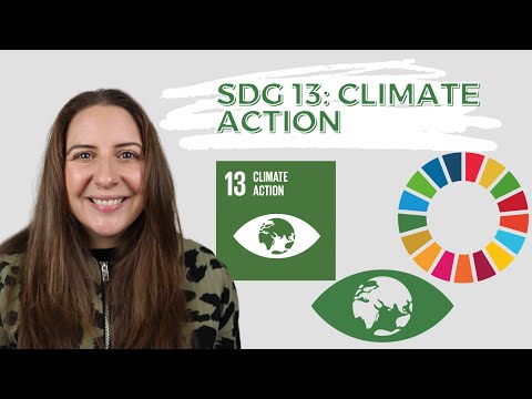 SDG 13 Climate Action - UN Sustainable Development Goals - DEEP DIVE