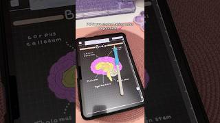 iPad note taking Dark mode 💗 aesthetic digital notes | take notes with me | iPad accessories | study