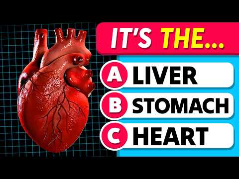 How Well Do You Know the Human Body? | Human Body Parts | General Knowledge Quiz