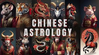 The 12 chinese zodiac signs 🌒🪧