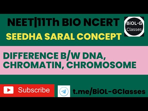 SEEDHA SARAL CONCEPT Difference B/W DNA CHROMATIN AND CHROMOSOME #neet #neet2023 #neetbiology