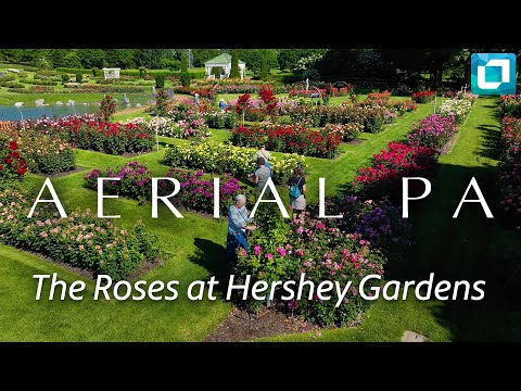 The Roses at Hershey Gardens | Aerial PA