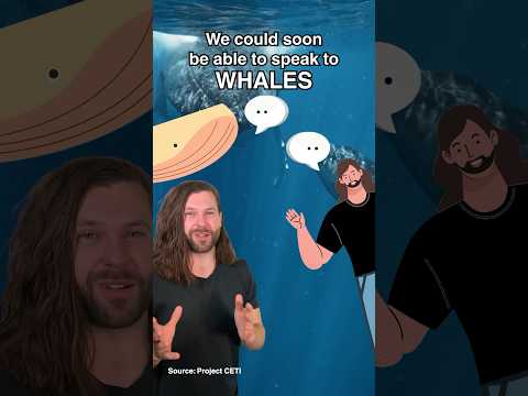 Could we soon be able to speak to whales?! #shorts