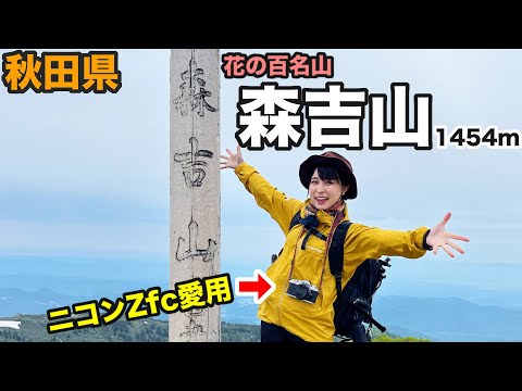 【秋田県 車中泊旅】初心者さんにもオススメ登山！森吉山でお花撮影&登山が楽しい！【Nikon Zfc】