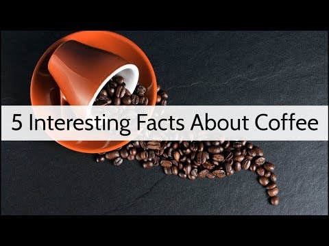 5 Interesting Facts About Coffee