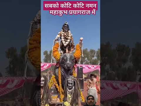 प्रयागराज महाकुंभ मेला 2025। #festival #vlog #ganga #bhojpuri #song #love #music #maakali #mela