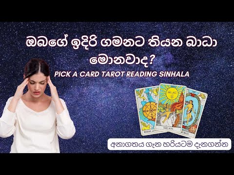 ඔබගේ ඉදිරි ගමනට තියන බාධා මොනවාද? Pick a Pile Tarot Sinhala✨