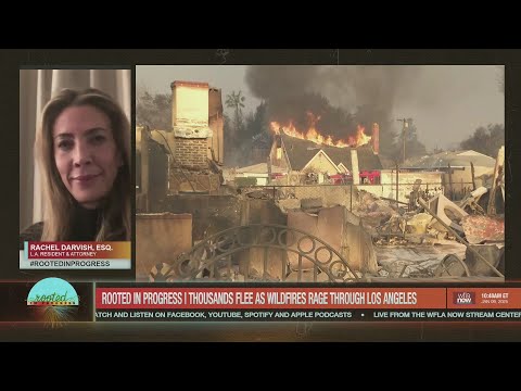 Escaping the Flames: Los Angeles resident shares harrowing wildfire evacuation story