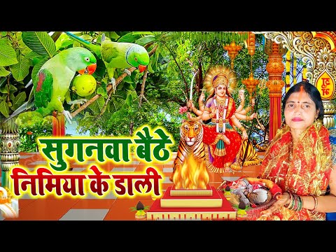 Live - कवना बने बोले कोयलिया |#DeviPachra | Kawna Bane Bole Koyaliya |#BhaktiGaana #sunita lokgeet