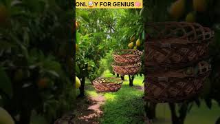 fucus test #trendingpuzzles #ytshorts #puzzle #mindset #genius