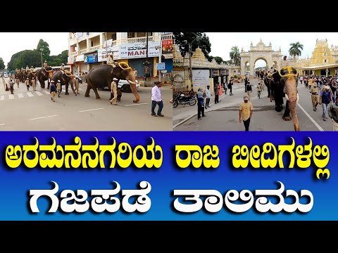 ಅರಮನೆನಗರಿಯ ರಾಜಬೀದಿಗಳಲ್ಲಿ ಗಜಪಡೆ ತಾಲಿಮು | Mysore Dasara 2022 | Jumbo Savari  Elephants |