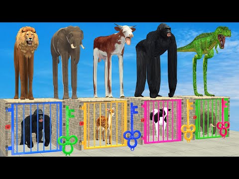 Don't Choose The Wrong Key With Elephant Cow Lion Gorilla Escape Room Challenge Animals Cage Game