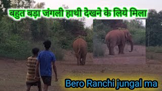 बहुत बड़ा जगली हाथी || very big size elephant in forest ||