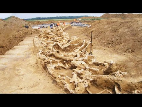 12 Most Amazing Archaeological Finds