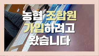 농협 조합원 가입하러 갔다가 3번이나 퇴짜맞은 이유