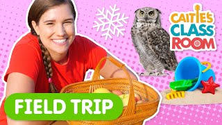 Happy Earth Day! Field Trips from Caitie Classroom: Caitie Explores The Great Outdoors!