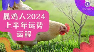 属鸡人2024年上半年运势运程如何 属鸡人2024年上半年运势运程详解#属鸡人2024年运势 #属鸡上半年运程 #属鸡人2024年上半年运势 #2024年龙年属鸡人运程