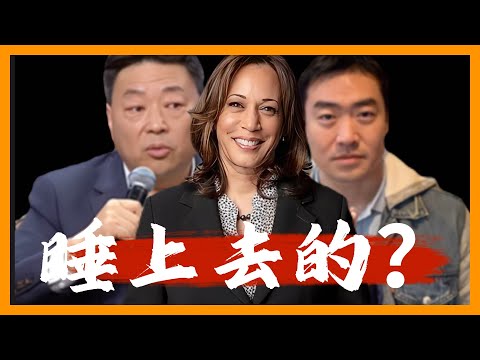 贺锦丽睡上去的？美国大兵净多试水极右阴谋论；王志安：”民主也就这么回事？“ I Kamala Harris I 美国大选