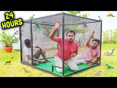 I Spent 24 Hours in A Tiny Cage | Mad Brothers