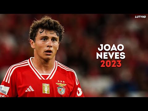 João Neves 2023 - Amazing Skills, Goals & Assists | HD