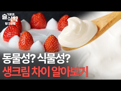 동물성 생크림? 식물성 생크림? 생크림🍰 차이 알아보기😋 [슬기로운 식약탐구생활]