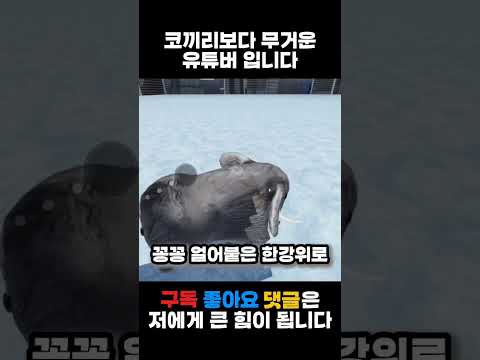 꽁꽁 얼어붙은 한강위로 고양이가 걸어다닙니다 뇌절버전ㅋㅋㅋ출처:왕클세종(님)#꽁꽁얼어붙은한강위로고양이가걸어다닙니다#왕클세종#뇌절#알고리즘떠라 #로블록스#또또로#편집#고양이#코끼리