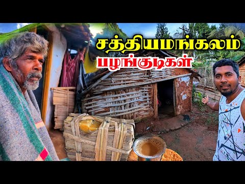 🔥சத்தியமங்கலம் ஆசனூர் பழங்குடிகளின் வாழ்க்கை | WESTERN GHATS DHIMPAM HILL TRIBES | K7