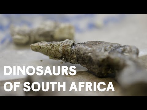 Digging the Dinosaurs of South Africa