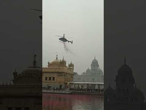 Rose petals showered upon #goldentemple #latestpunjabnews #punjablatestnews #alertnews_hd #punjab