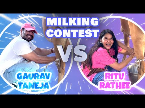 Punjabi vs Haryanvi Milking Competition !!